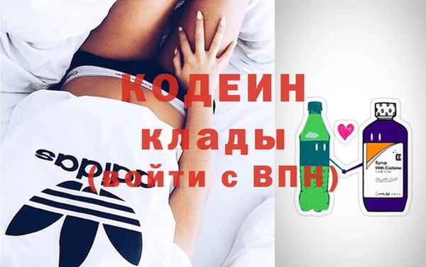 индика Верея