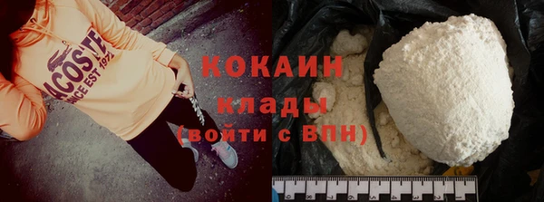 индика Верея