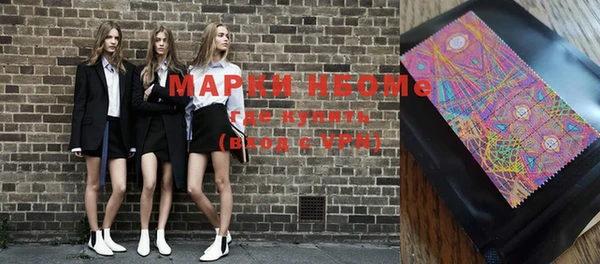 индика Верея