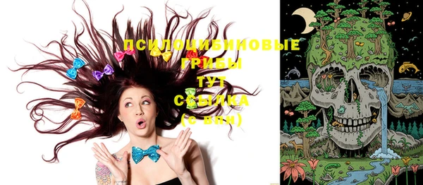 индика Верея